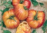 Pineapple Tomato