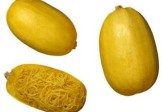 Spaghetti Squash